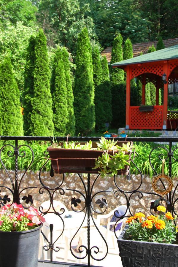 Downtown Green Oasis Apartments SJJ Esterno foto